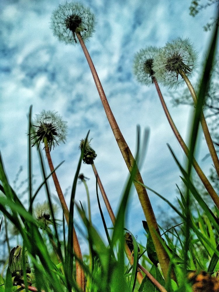 Photograph by Юлия Демяник