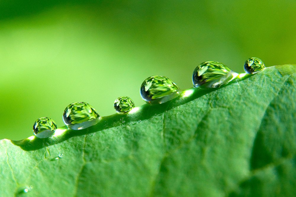 Photograph by seema Gupta