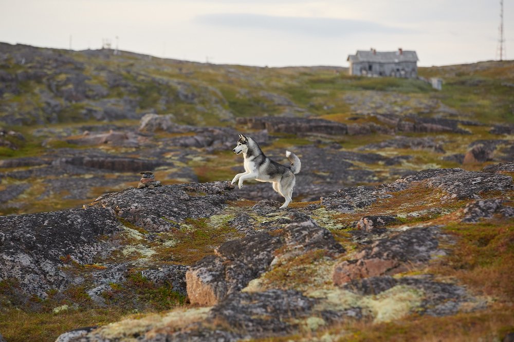 Photograph by Лана Полякова