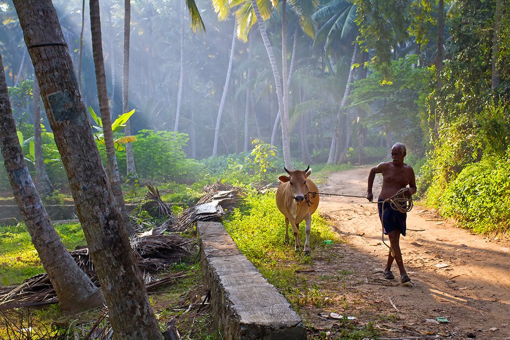 Photograph by Faletkin Mikhail