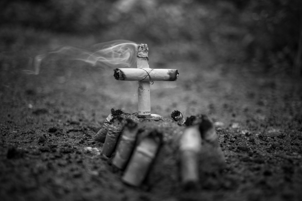 Photograph by  VISHNU AV