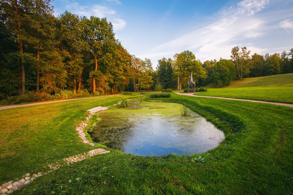 Photograph by Алексей Шуманов