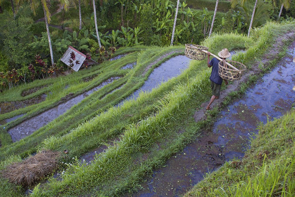 Photograph by Faletkin Mikhail