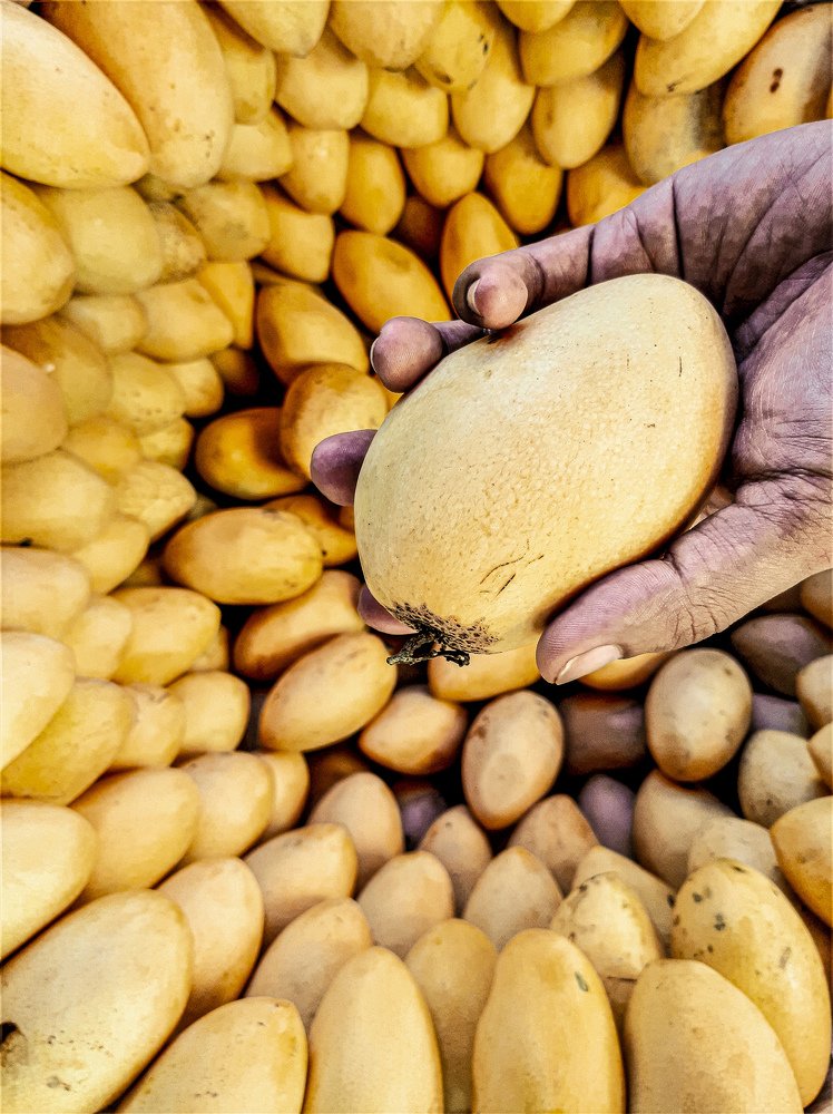 Photograph by Dennis Michael Segura