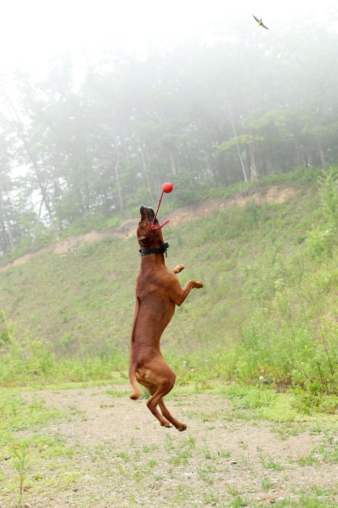 Photograph by Светлана Бевза