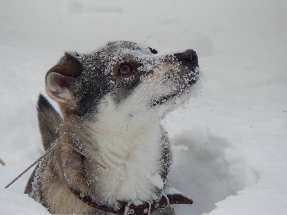 Photograph by Иван Кирилков