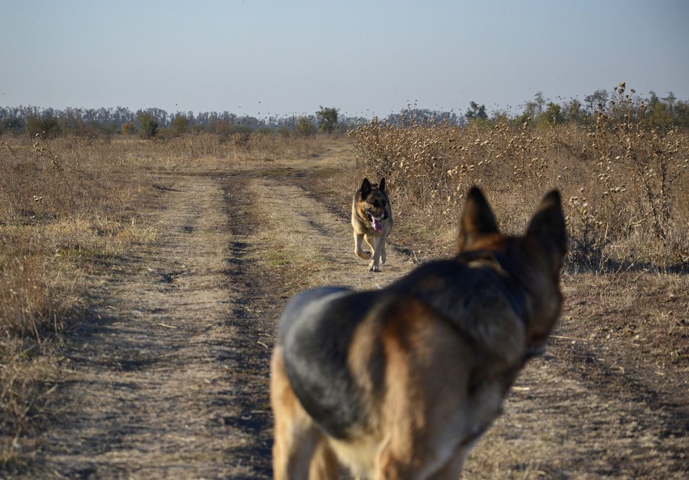 Photograph by Михаил Kolesnik