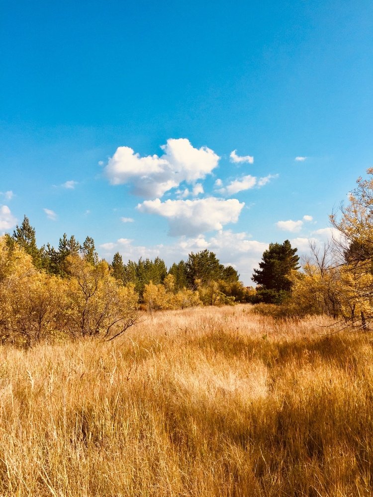 Photograph by Анастасия Мангольд