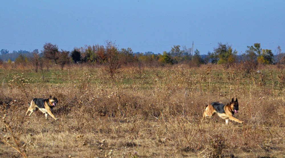 Photograph by Михаил Kolesnik