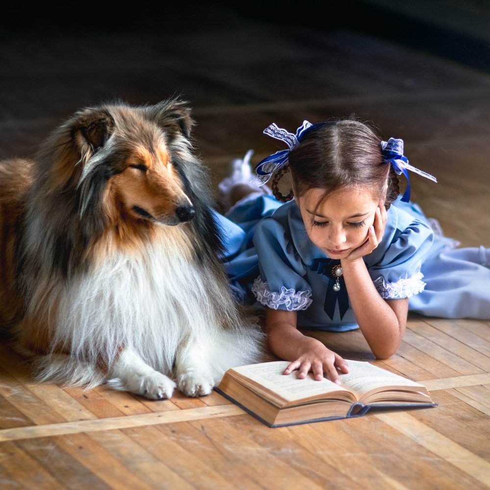 Знания-сила