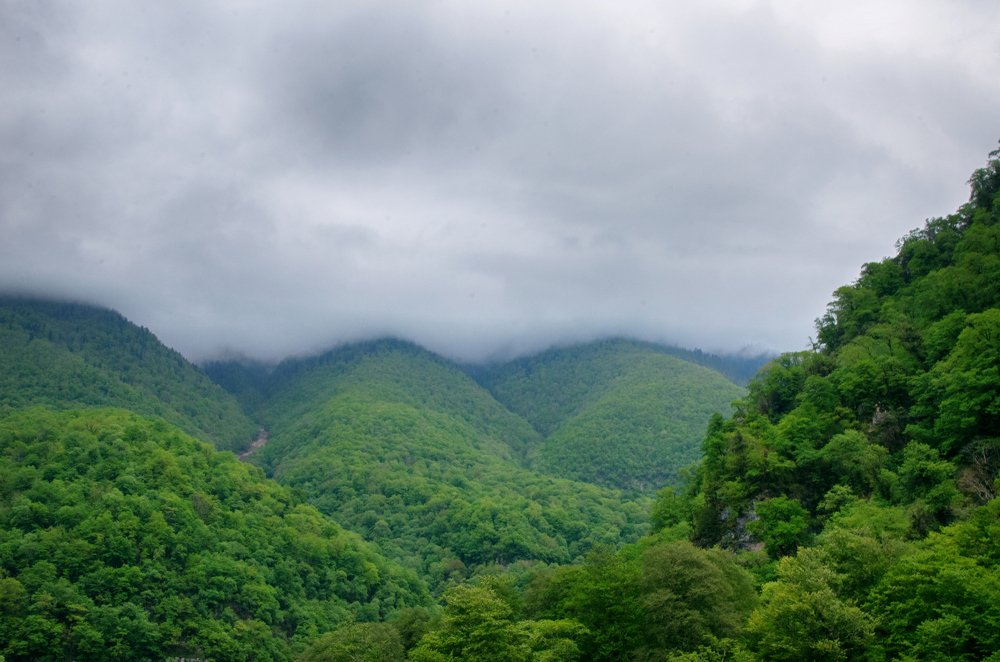 Photograph by Михаил Kolesnik