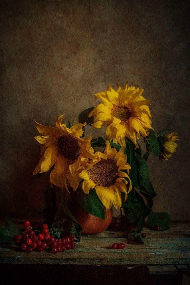 Photograph by Екатерина Дьячкова