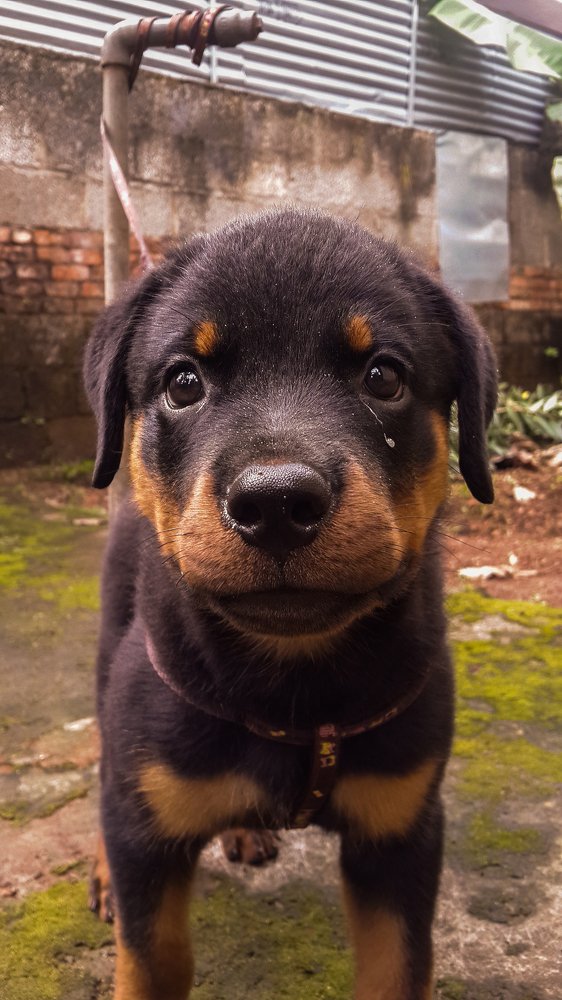 Photograph by Harisankar B