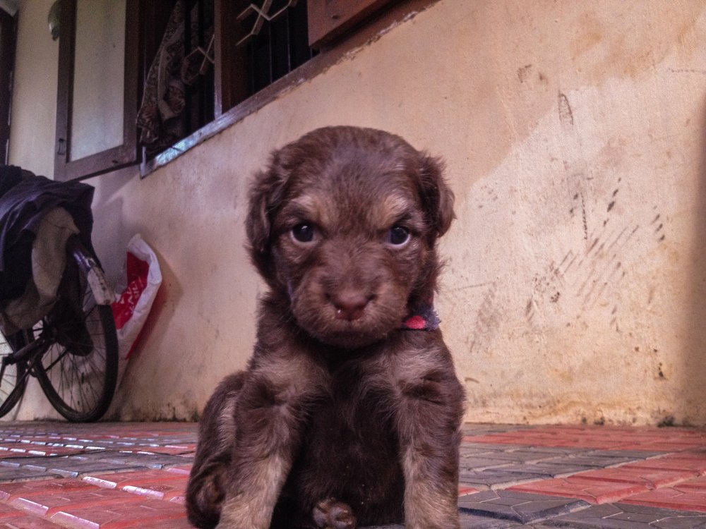 Photograph by Harisankar B