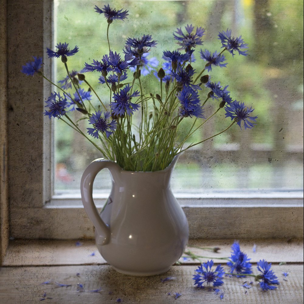 Фотография автора Марина Кулакова