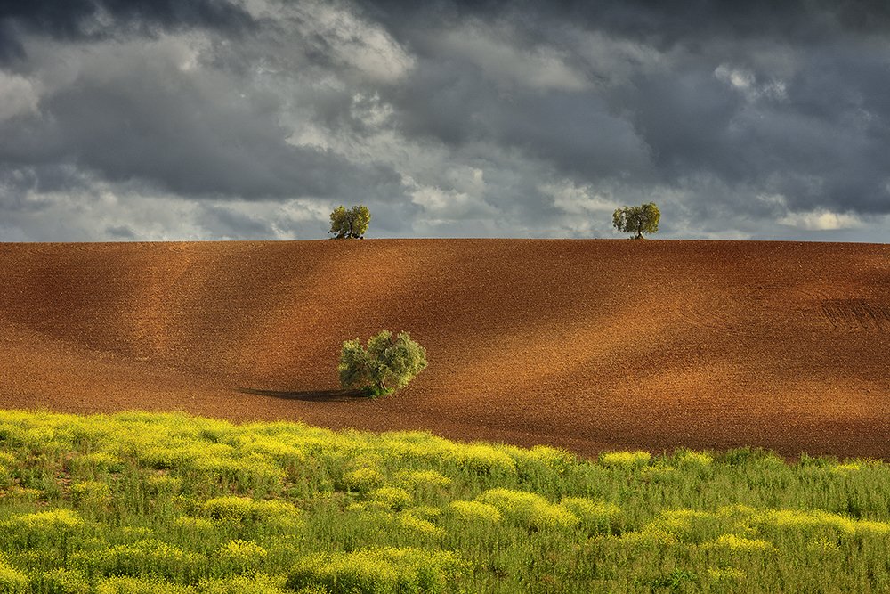 Triangulating the countryside