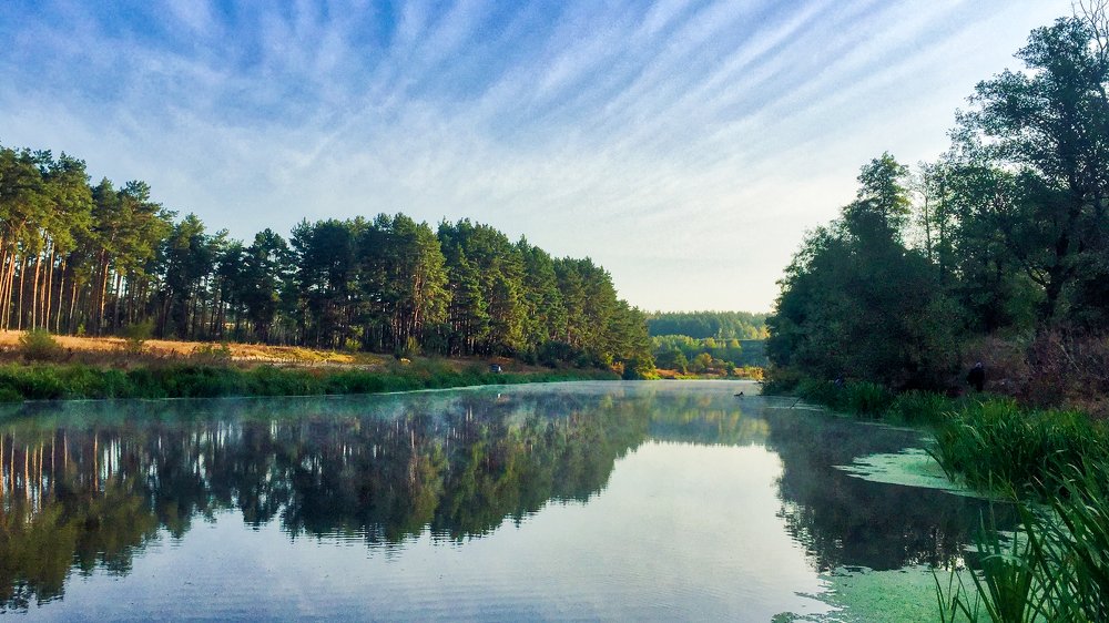 Photograph by Gavrisyuk Illya