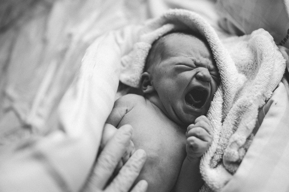 Photograph by Natalia Dauer