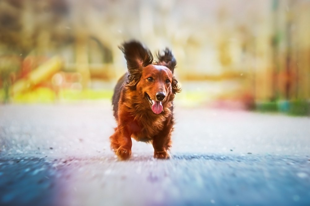 Фотография автора Marina Montale