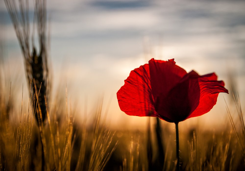 Photograph by Martin Kucera