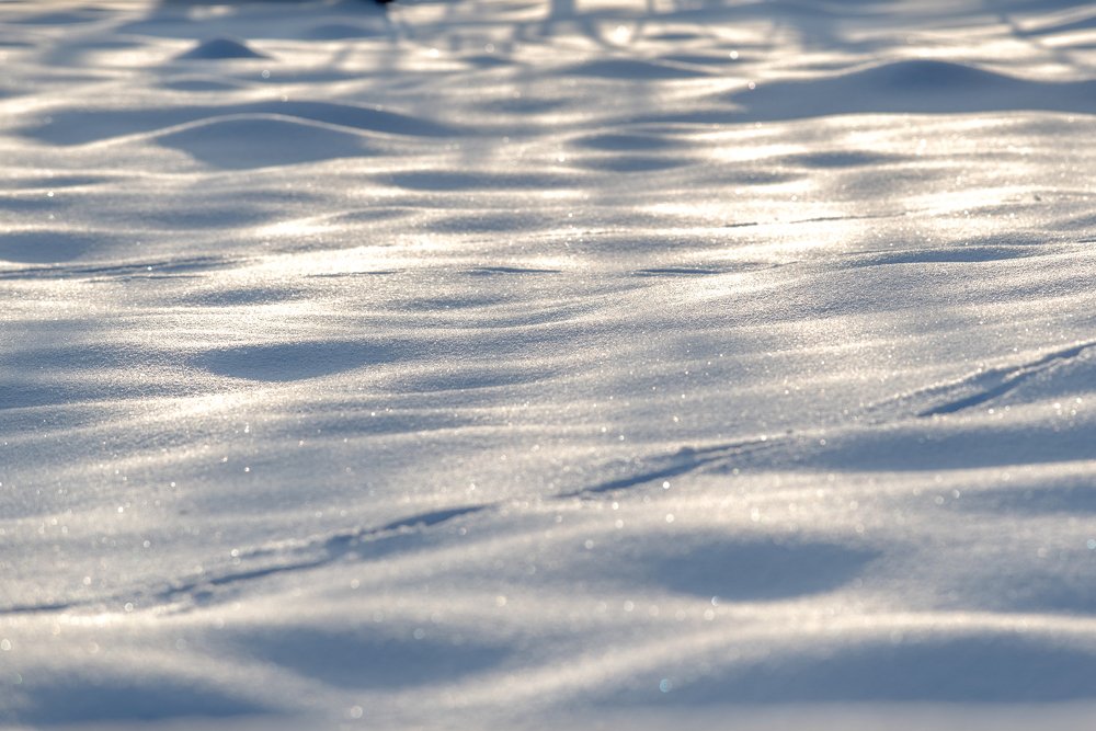 Photograph by Adrian Vladila