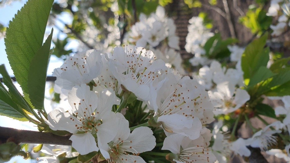 Photograph by Jakub Michálek