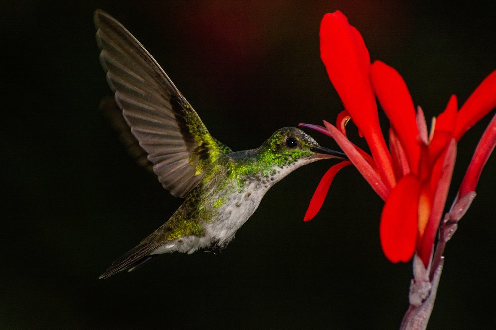 Photograph by Massimo Chiozzi