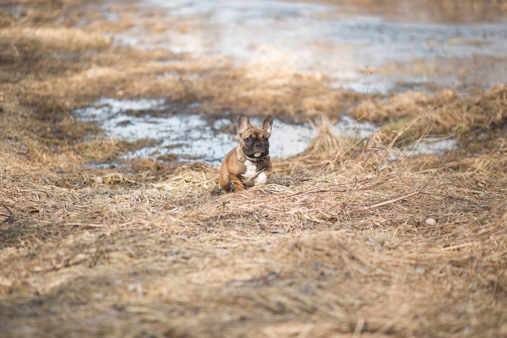 Фотография автора Ирина Белоусова