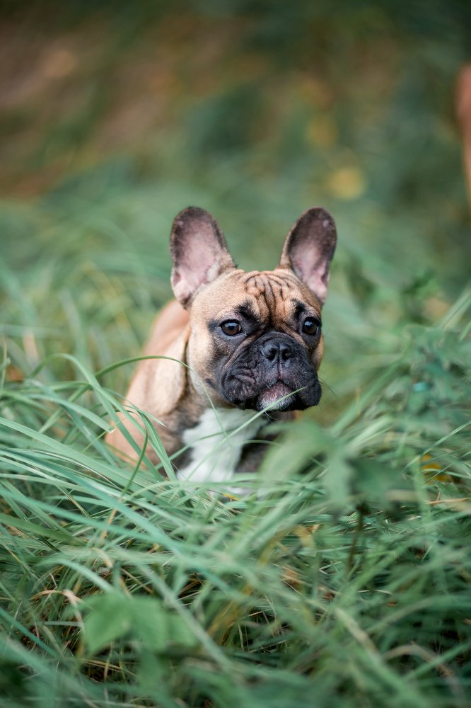 Фотография автора Ирина Белоусова