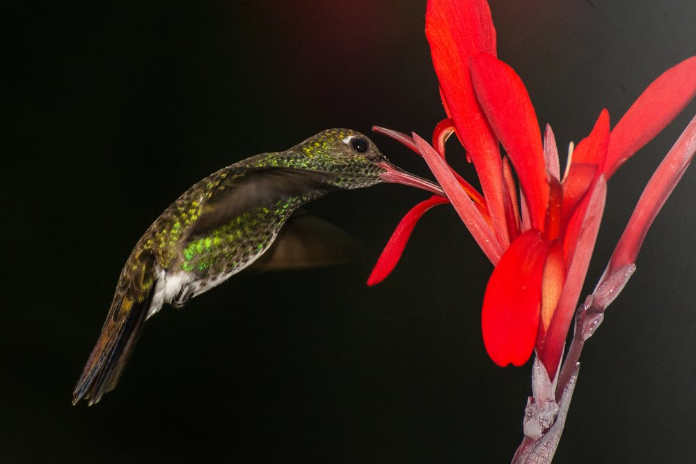 Photograph by Massimo Chiozzi