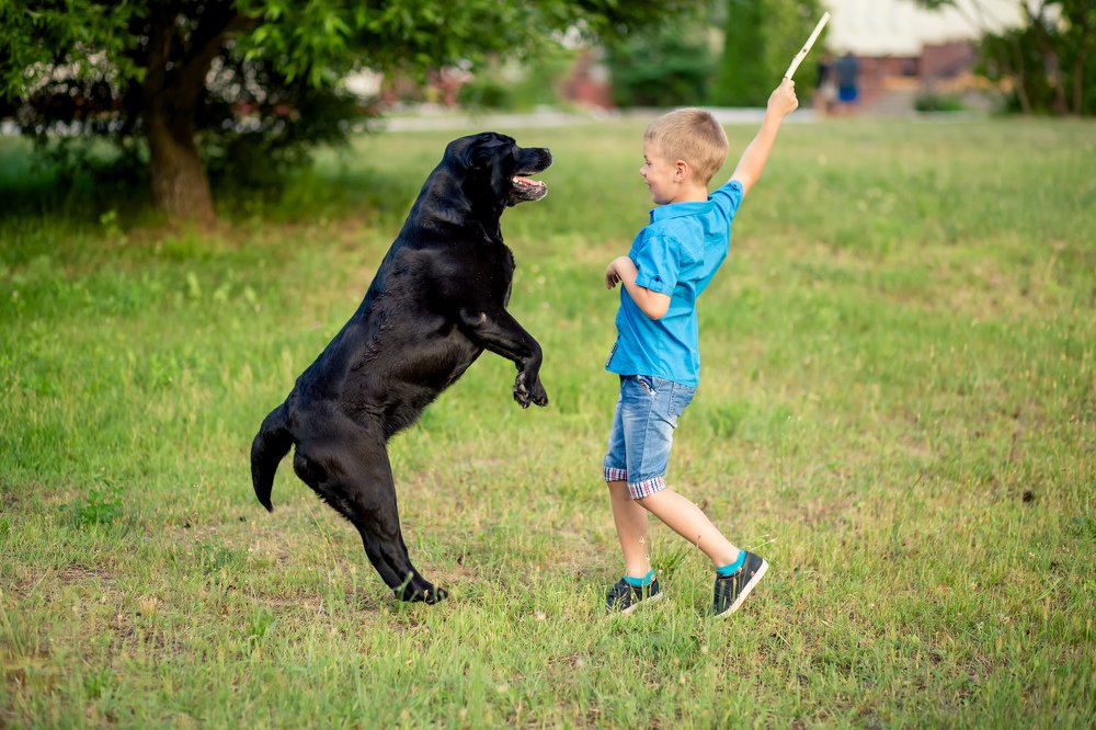 Фотография автора Ирина Белоусова