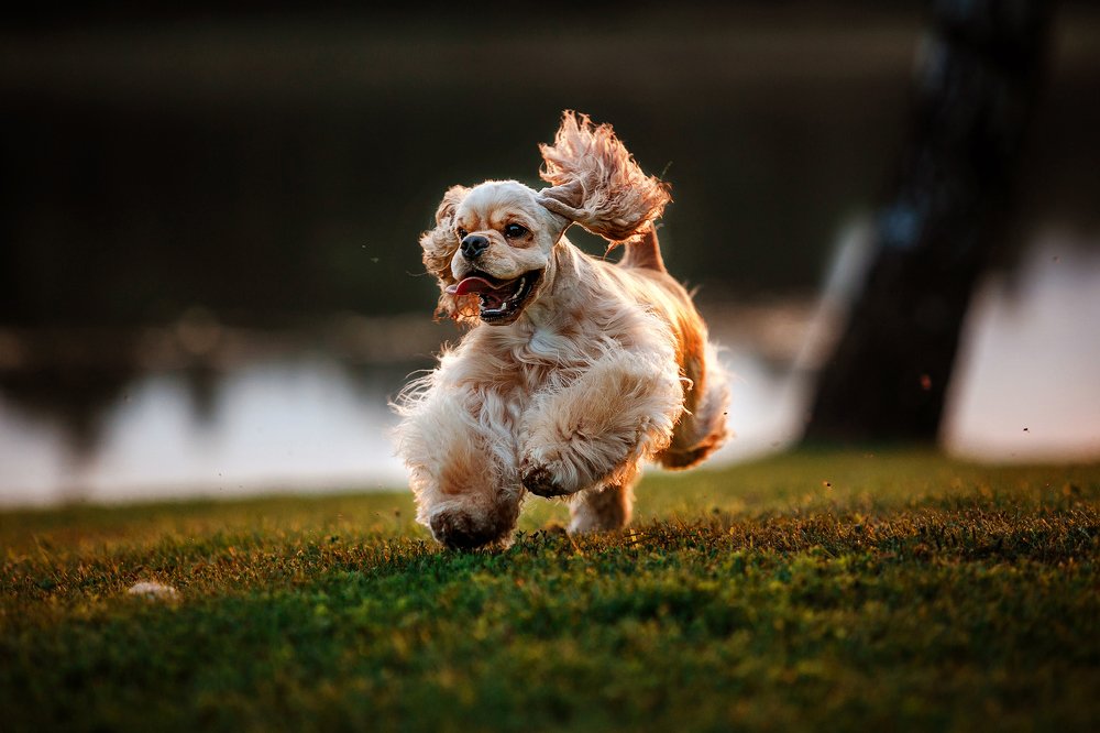 Photograph by Margarita  Davydova