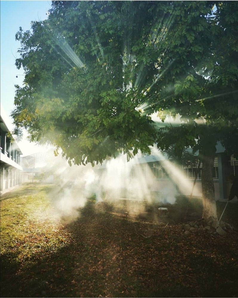 Photograph by Hastina Hapi