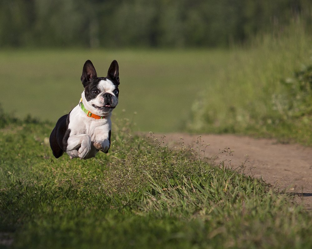 Photograph by Юлия