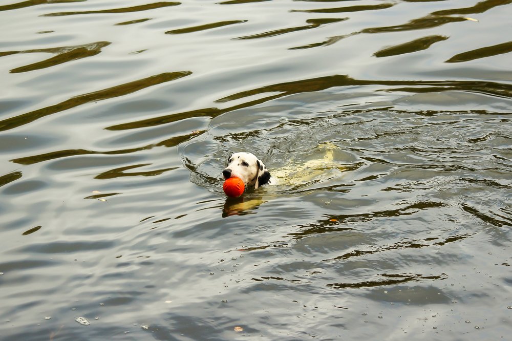 Photograph by Елена Верховская