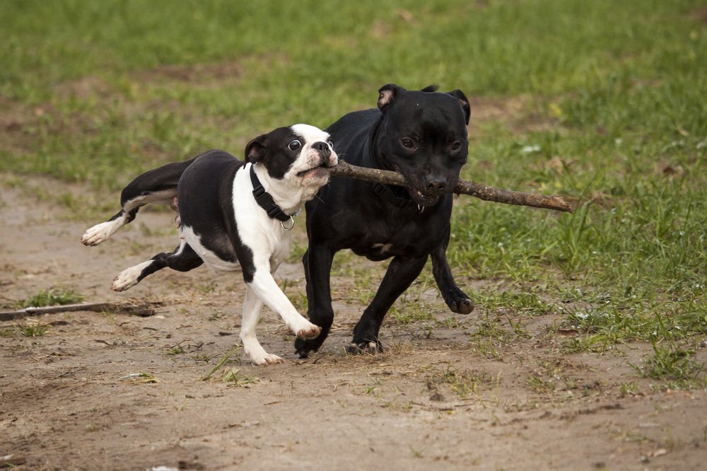 Photograph by Юлия