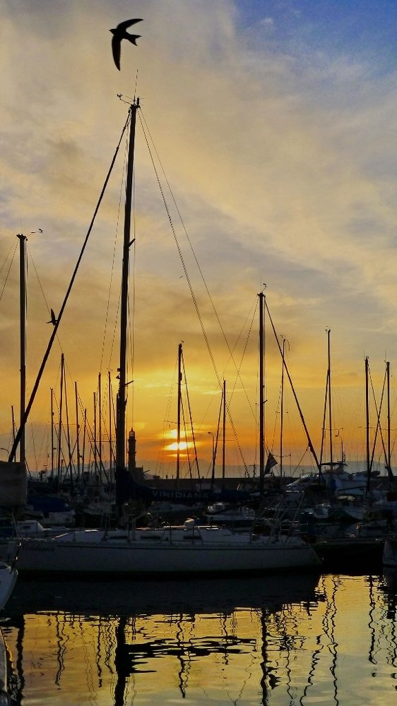 Yachts