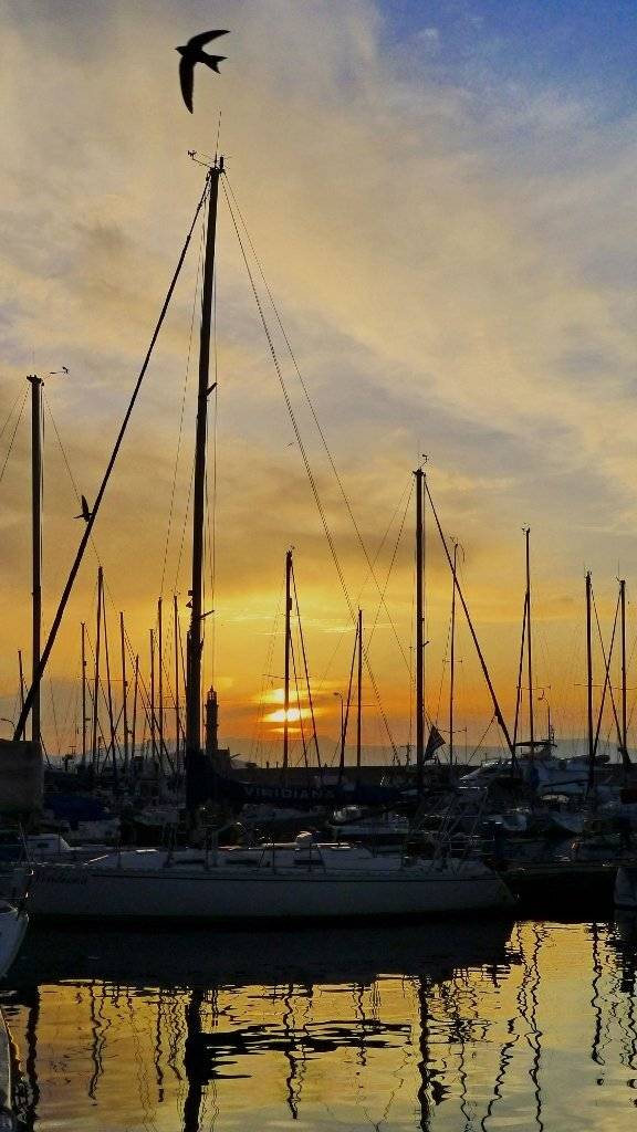 Yachts