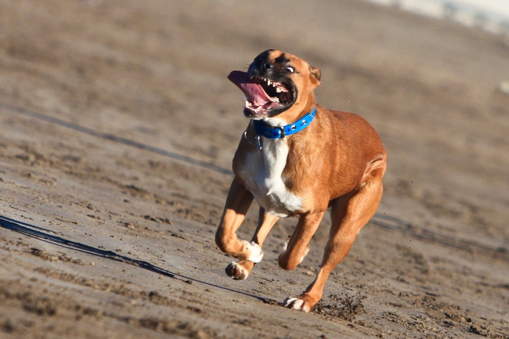 Photograph by yana slobodova