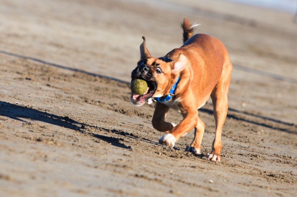 Photograph by yana slobodova