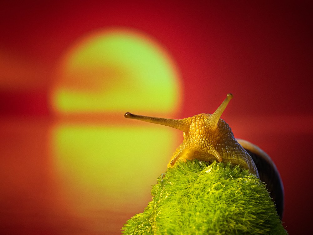 Photograph by Татьяна Аверина