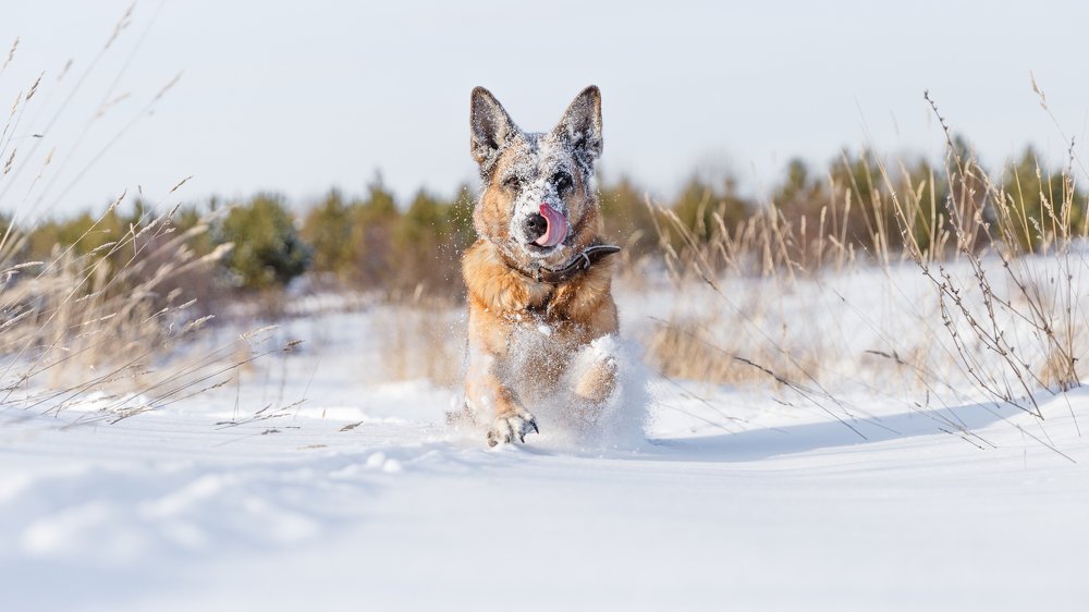 Photograph by Ильяс Бекмансуров