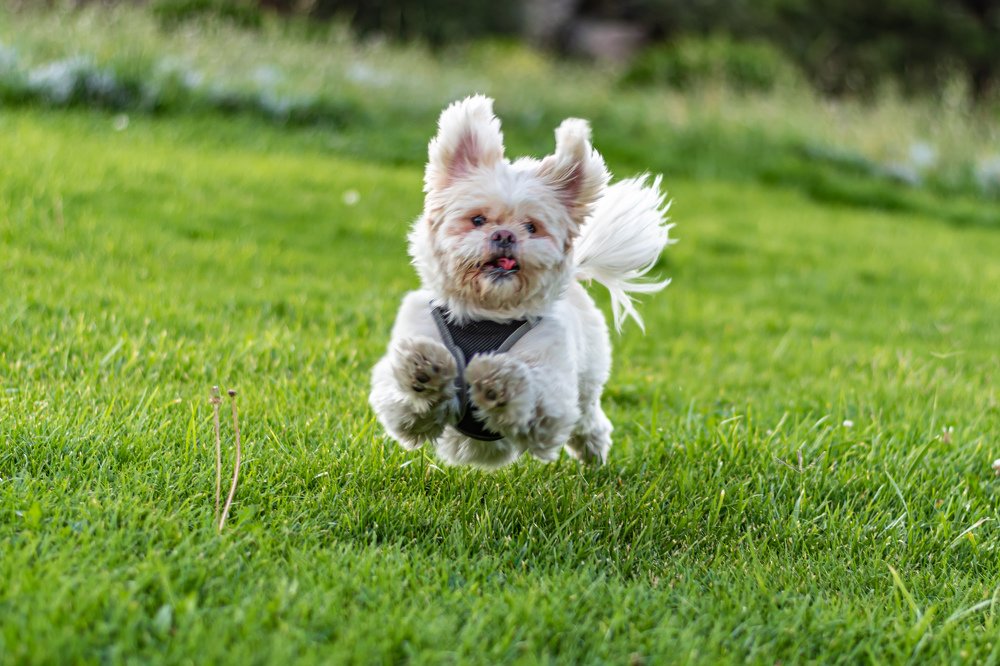 Photograph by Vahid Yavari