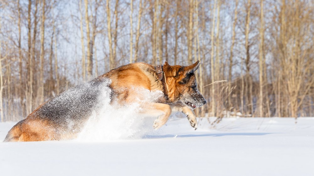 Photograph by Ильяс Бекмансуров