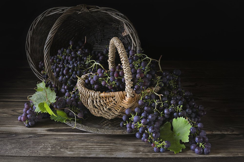 Северный виноград.