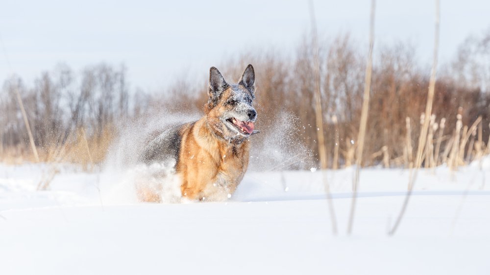 Photograph by Ильяс Бекмансуров