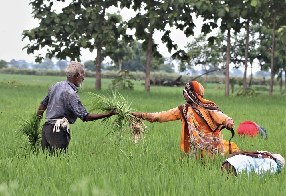 Photograph by Rajeswar Rao Allam
