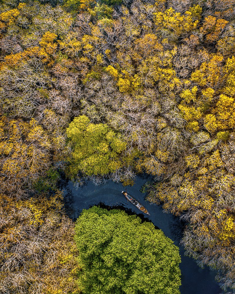 Photograph by Phạm Thạch