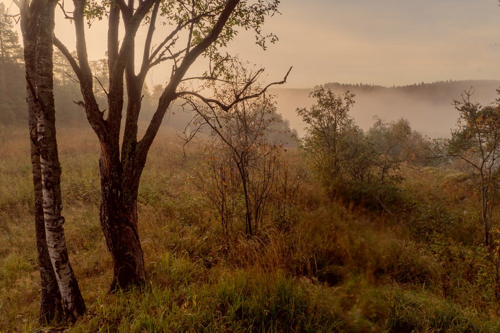 Photograph by Сергей Тишковский