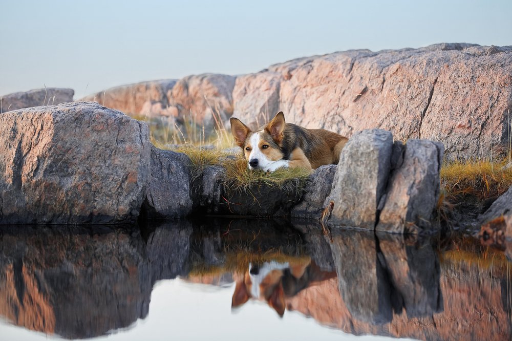 Photograph by Лана Полякова